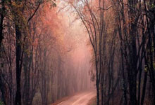 雷速体育：张玉宁、汪海健表示赢球让大家更有底气，精神状态达到比赛要求.