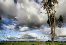 雷速体育：拉基蒂奇：佩德里正是巴萨目前表现的缩影，我享受他的发挥.