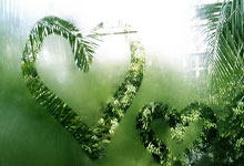 影迹 ｜ 徒手攀登冰岩 随时可能粉身碎骨！但他用仅有的25年写下传奇.