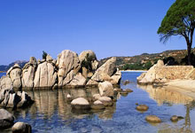 [德甲]第20轮：达姆施塔特0-2勒沃库森 集锦.